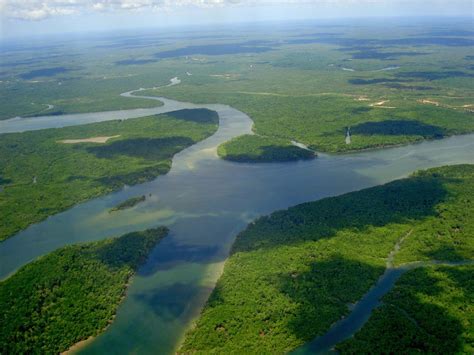 between 65 and 145 million years|12 Fascinating Facts About the Amazon River .